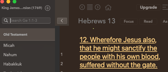 Hebrews 13:12 Kids' T-Shirt