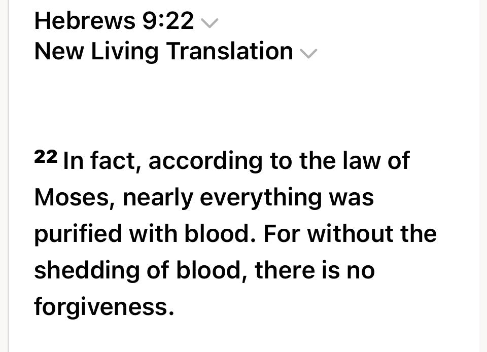 Hebrews 9:22 inspired T-Shirt
