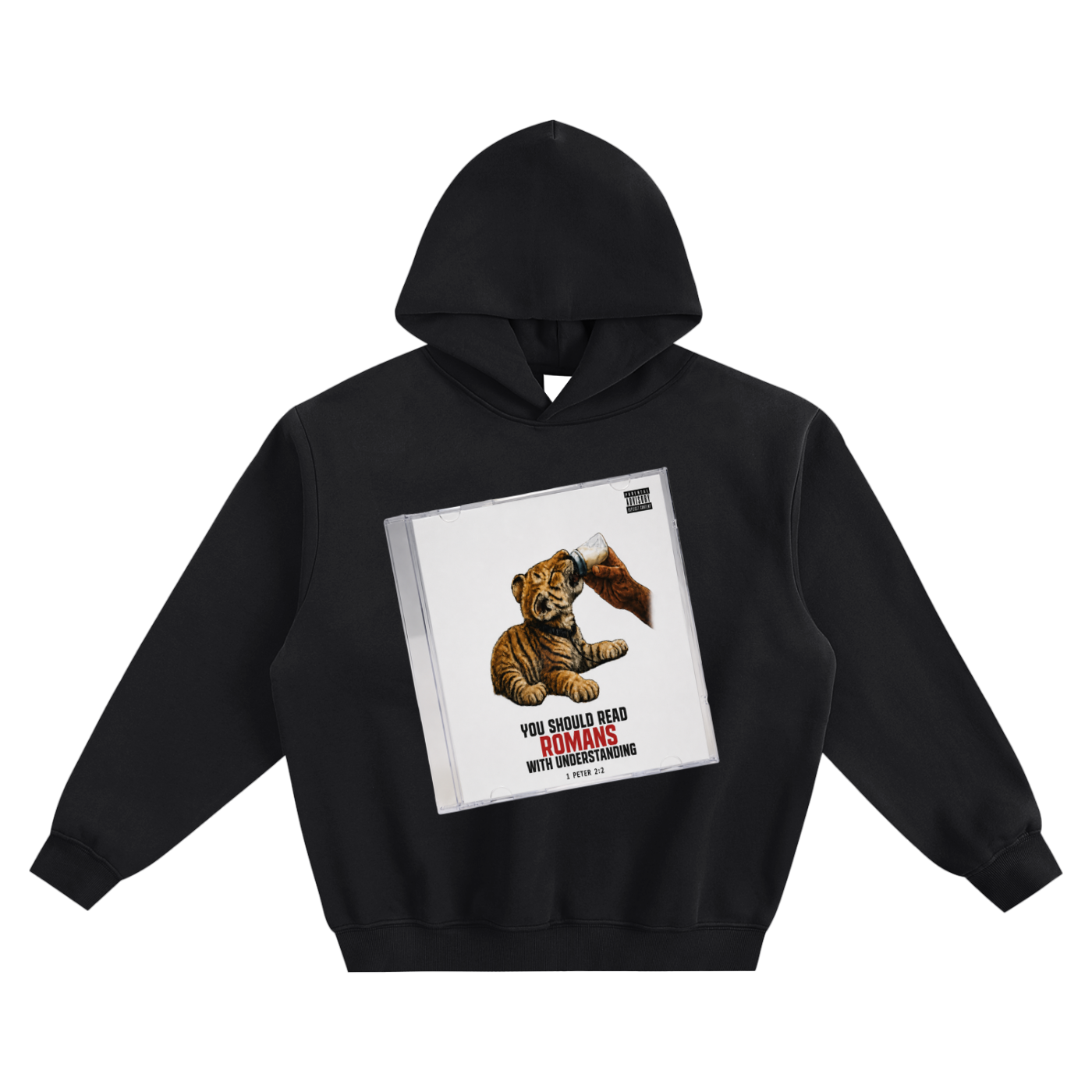 You should read Romans with understanding Hoodie