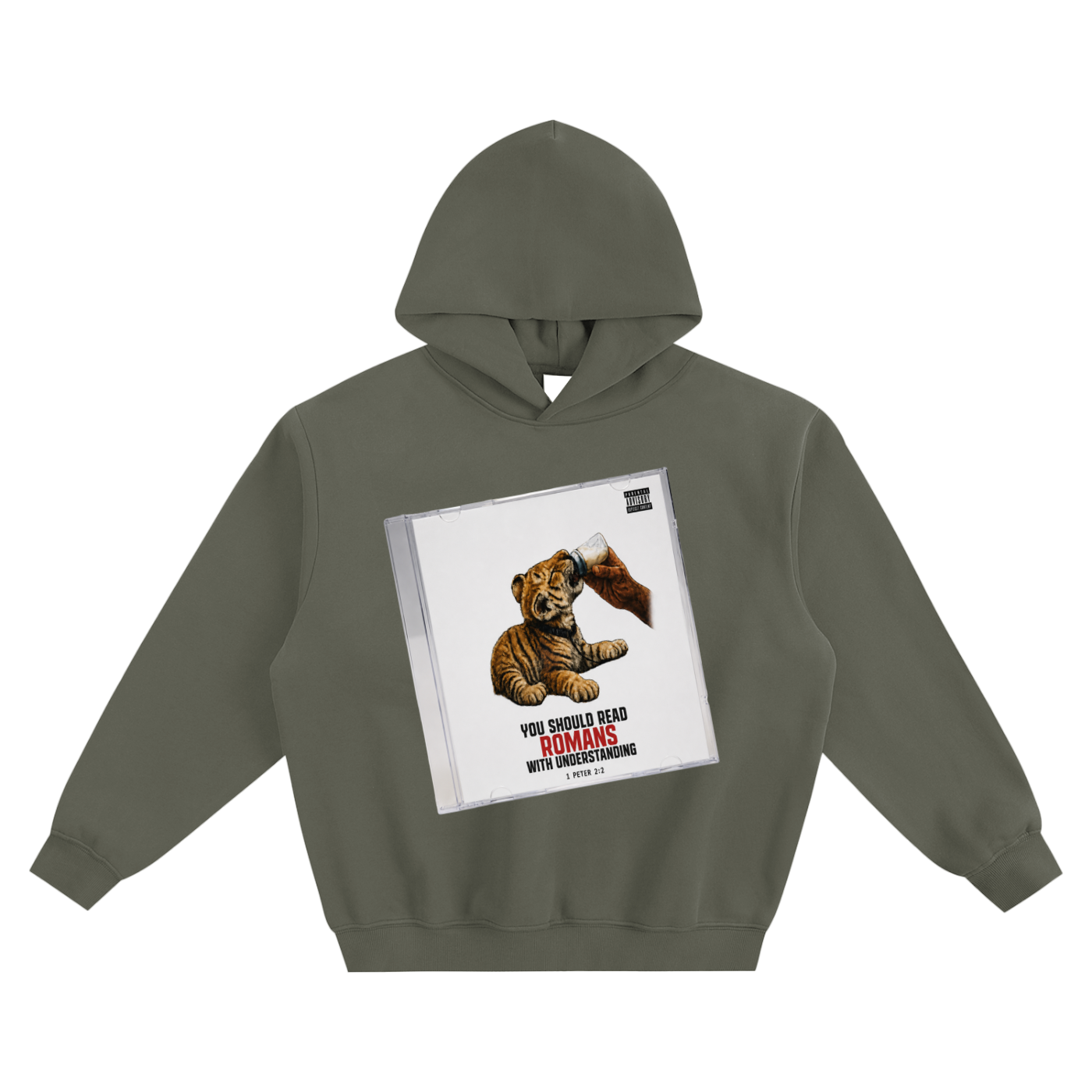 You should read Romans with understanding Hoodie