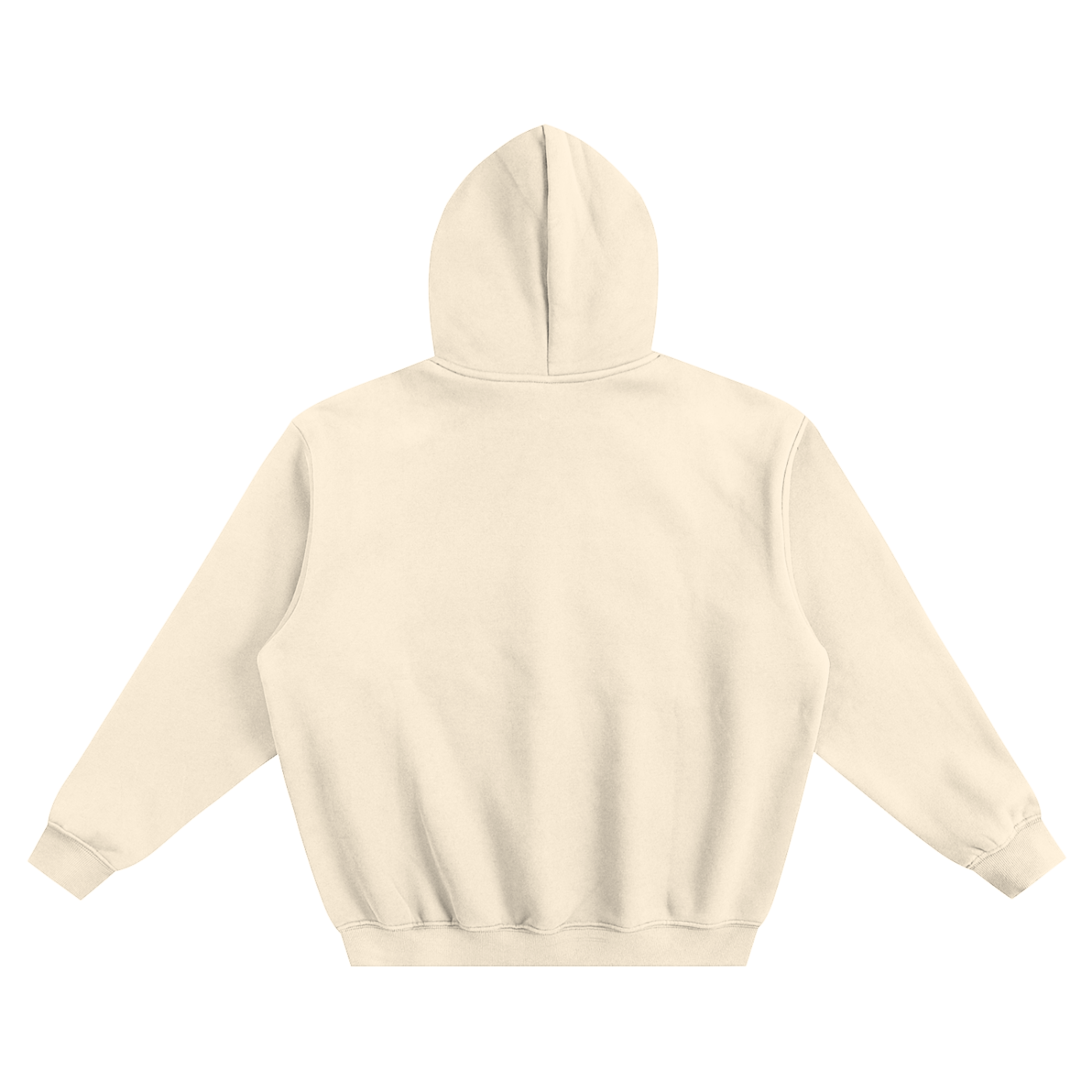 Jesus the man Hoodie
