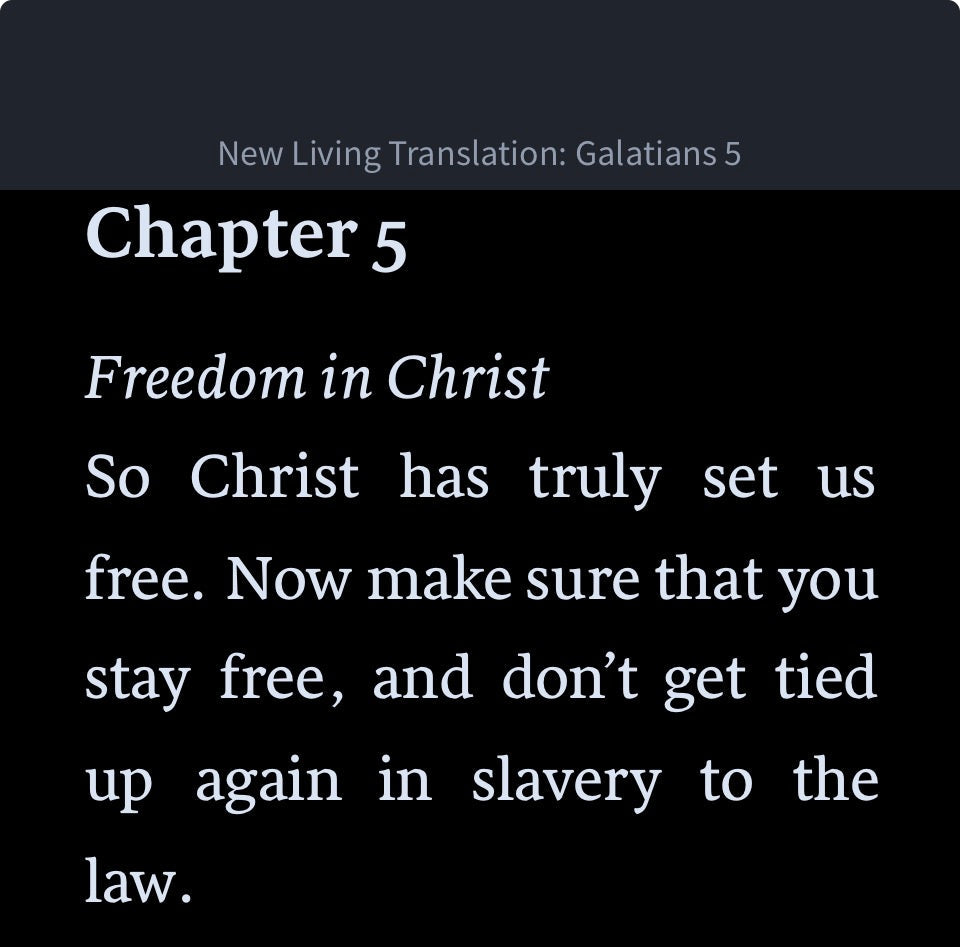 Google Romans 5:1 Long Sleeve T-Shirt