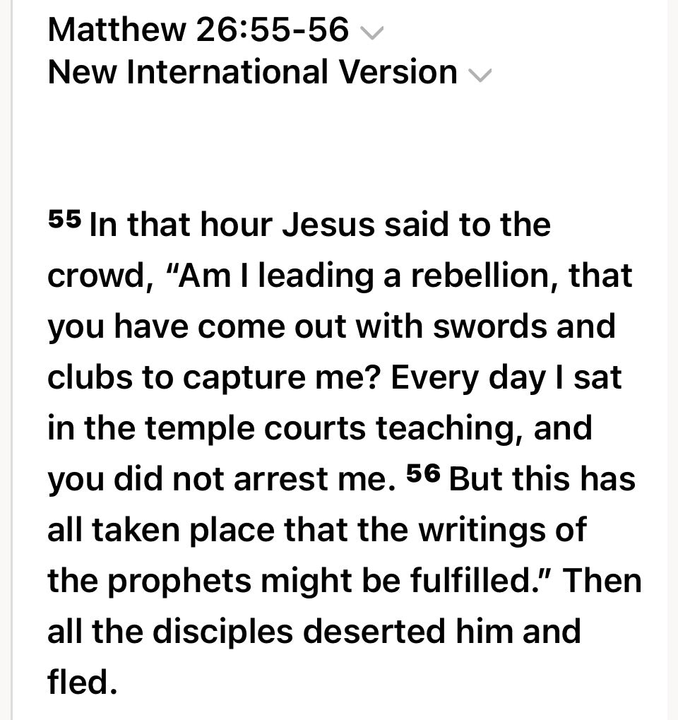 Jesus was not leading a political rebellion against Rome according to ChatGPT 
Hoodie