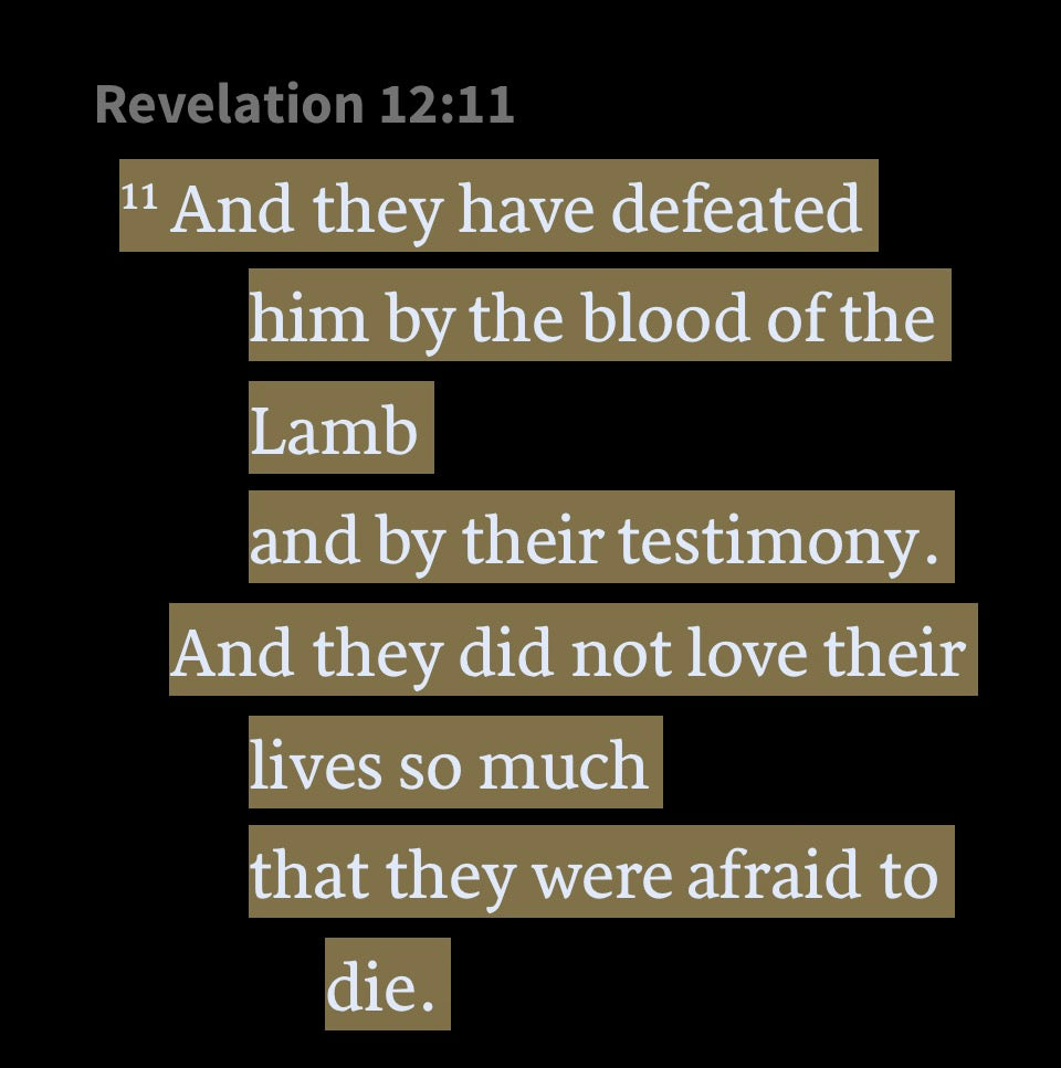 Revelation 12:11 hoodie