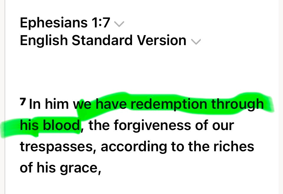 We have redemption thru Jesus blood Hoodie