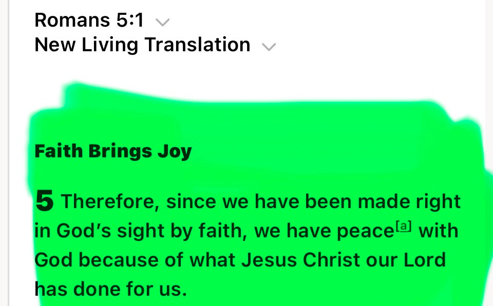 The Jesus man Google Romans 5:1 Sweatpants