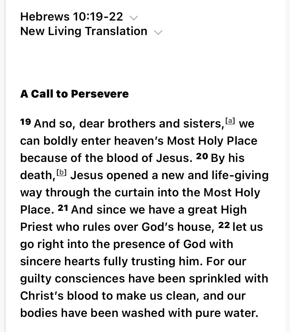 Jesus Blood Bag T-Shirt