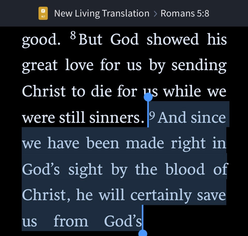 Romans 5:9 blood emoji T-Shirt