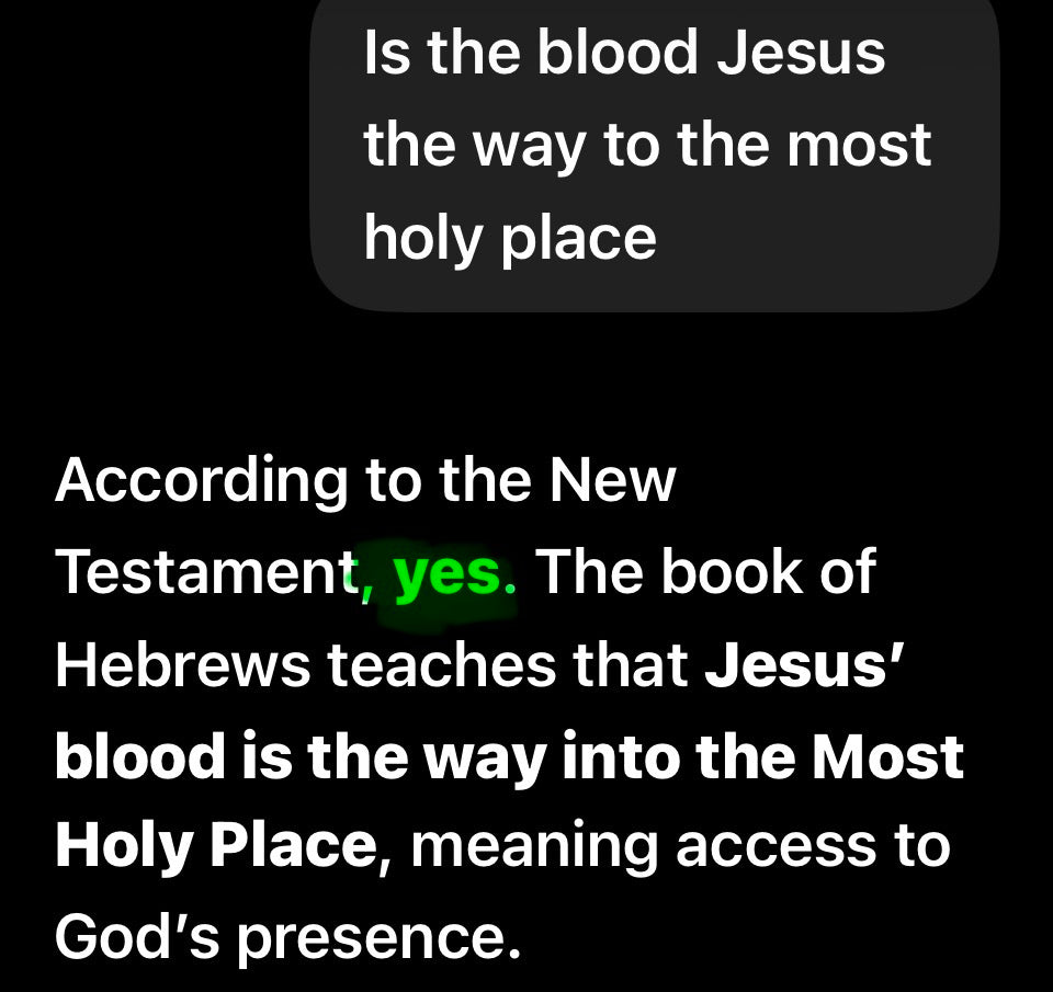 Jesus Blood bag Hoodie