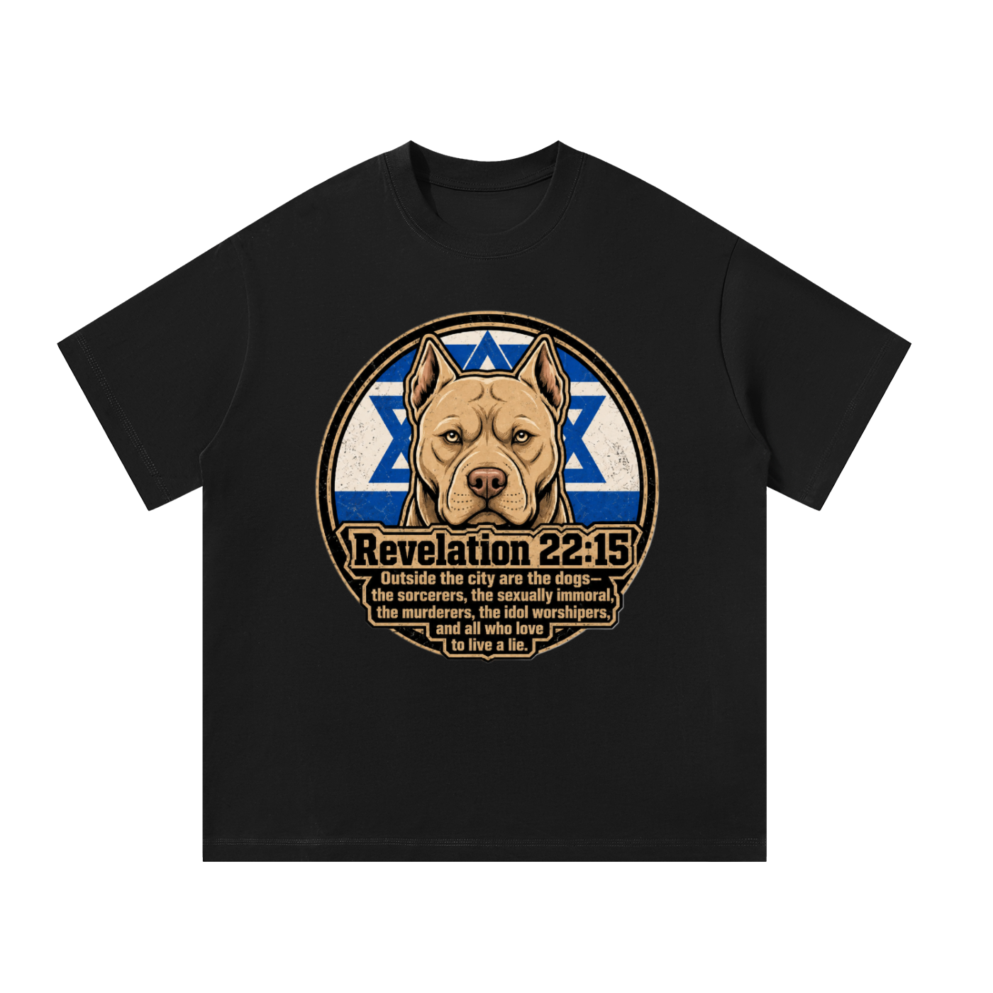 Revelation 22:15 T-Shirt
