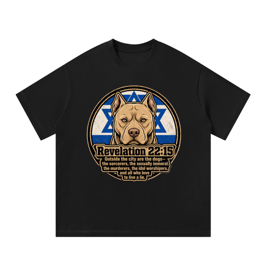 Revelation 22:15 T-Shirt