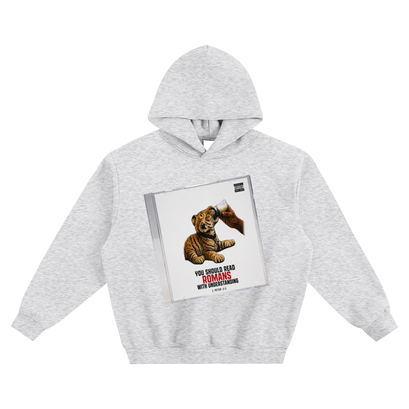 You should read Romans with understanding Hoodie