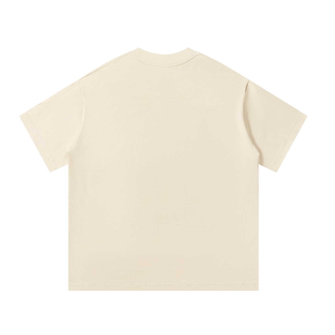 Don't be a idol worshipper T-Shirt